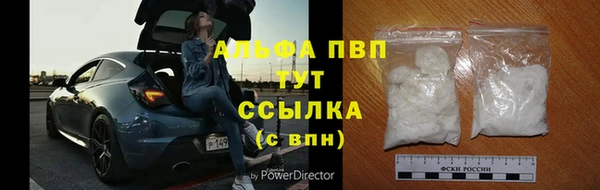 хмурый Ладушкин