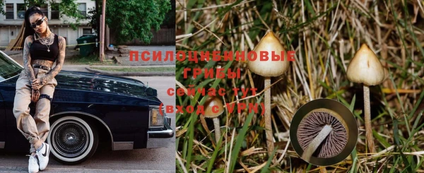 амф Лабытнанги