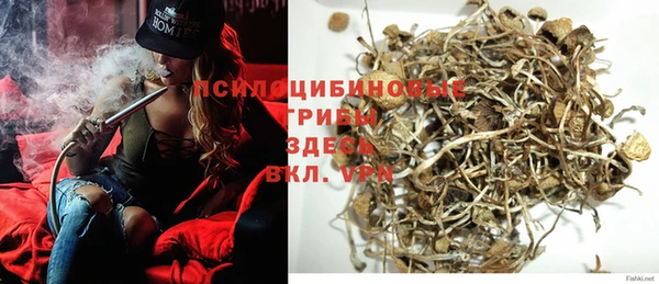 амф Лабытнанги