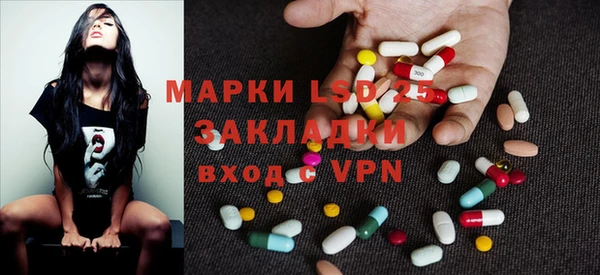 хмурый Ладушкин