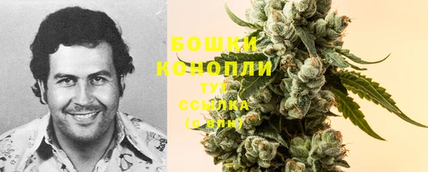 МДМА Лагань